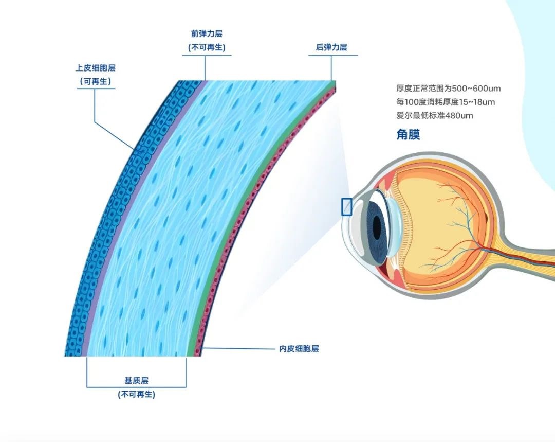 图片.png 图片.png