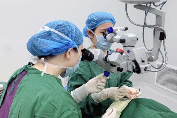 “网脱”拖延治疗险些失明 南昌爱尔眼科专家提醒：视网膜脱离切勿“等等再看”